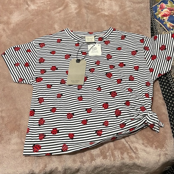 Zara 6 black white stripe ted glitter ladybugs short sleeve t shirt hip knot nwt - Picture 1 of 9